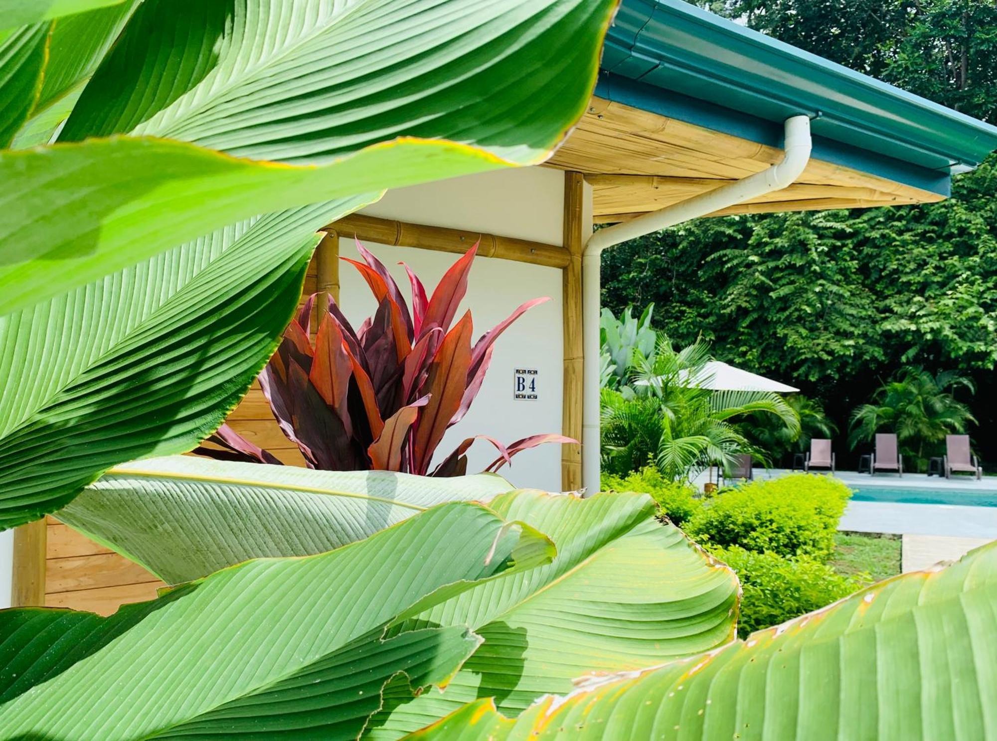 Bambura Bahia Villas Uvita Esterno foto