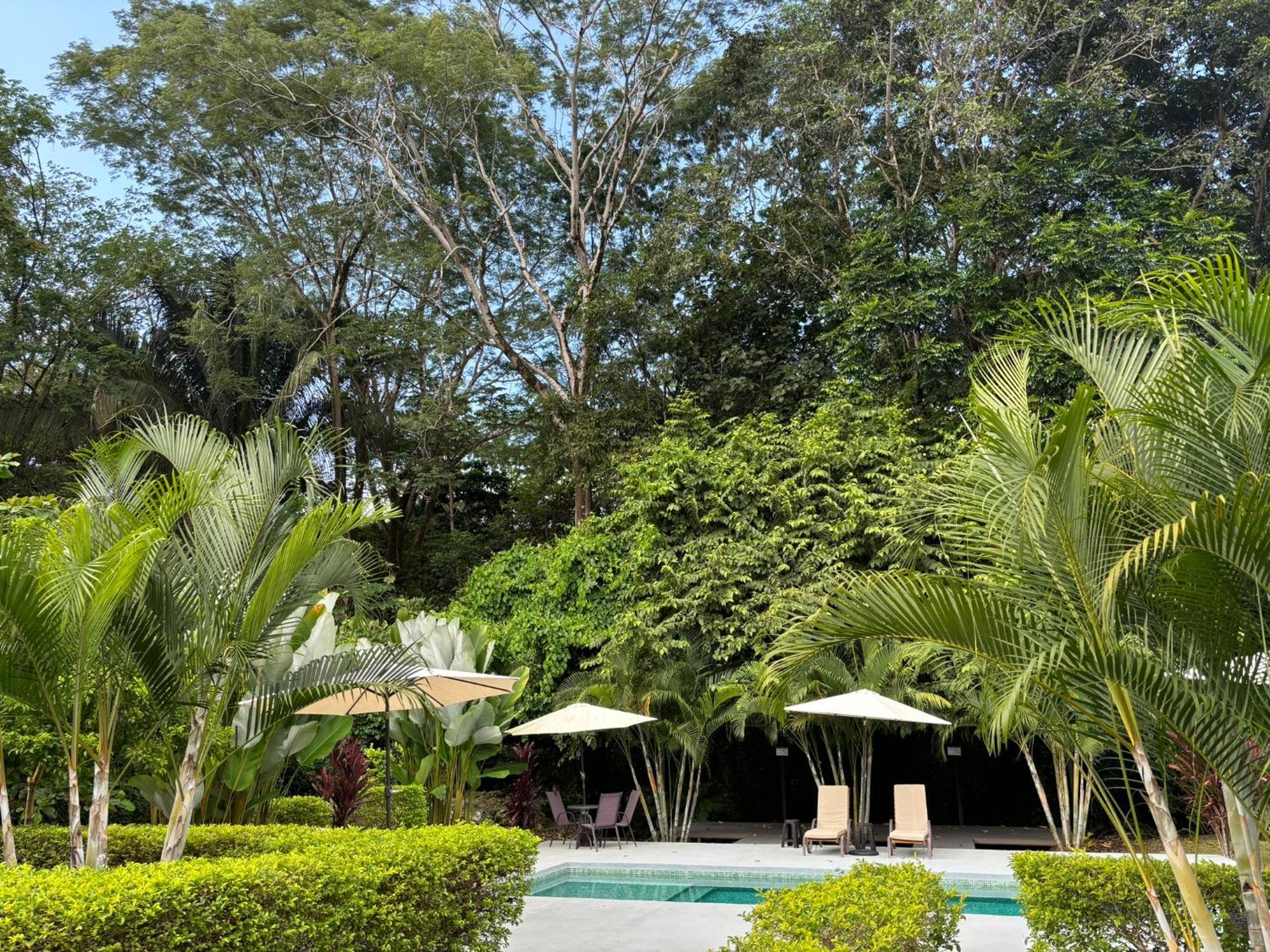 Bambura Bahia Villas Uvita Esterno foto